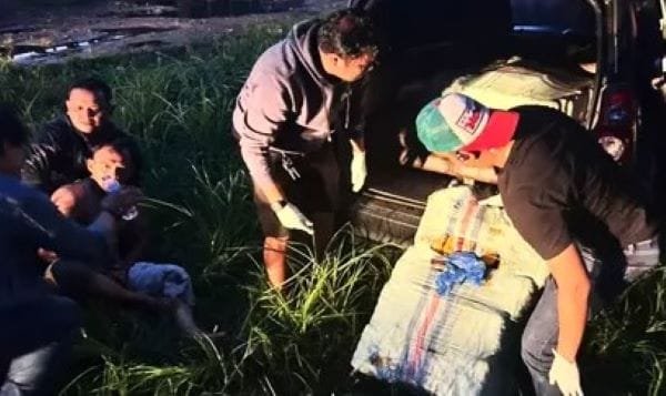 Oknum Polisi Berpangkat Aipda Ditangkap BNNP Sumbar karena Bawa Ganja 141,7 Kg