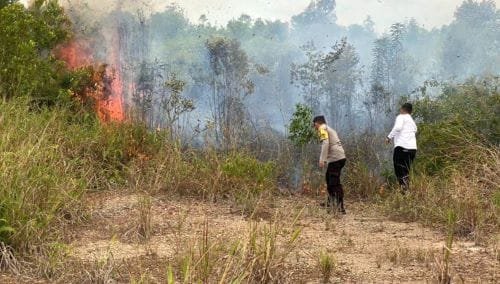 Polsek Galang dan Damkar Berhasil Padamkan Kebakaran Hutan di Simpang Belongkeng