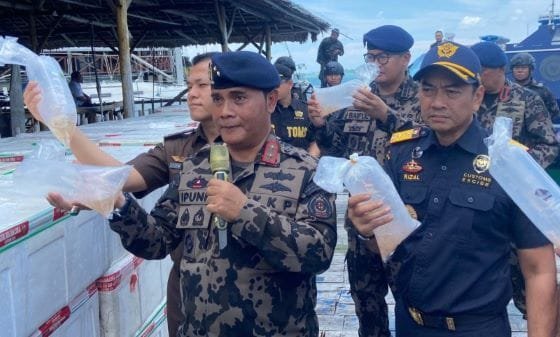 Terbesar Sepanjang 2024, Tim Gabungan KKP dan Bea Cukai Gagalkan Penyelundupan 795.500 Benih Lobster di Batam
