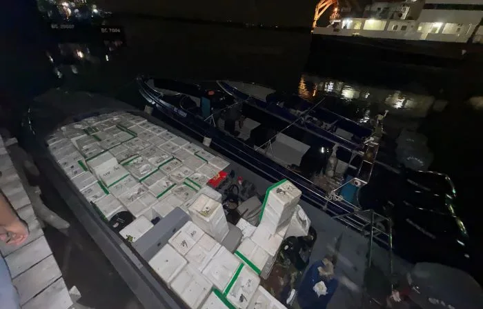 Upaya Penyelundupan Benih Lobster di Kepulauan Riau Digagalkan, Bea Cukai Sita 177.300 Ekor