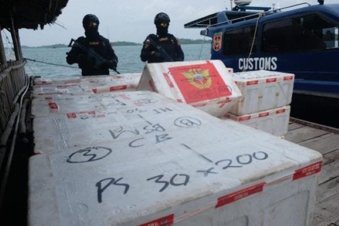 Lagi dan Lagi, Bea Cukai Gagalkan Penyelundupan Benih Lobster, Kali Ini di Perairan Pulau Topang Meranti