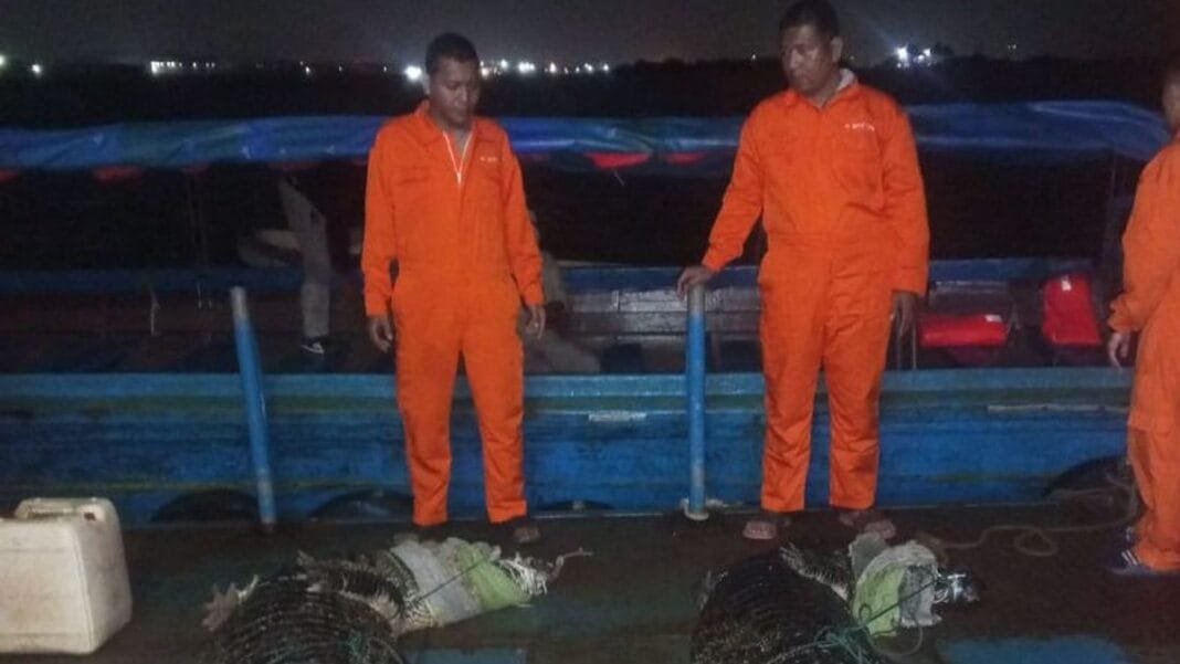 BBKSDA Riau Seksi Batam Pastikan Buaya Lepas di Pulau Bulan Tak Capai Ratusan