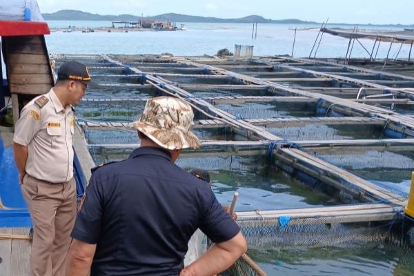 Karantina Kepri Fasilitasi Ekspor 1.600 Ekor Ikan Kerapu Hidup ke Singapura