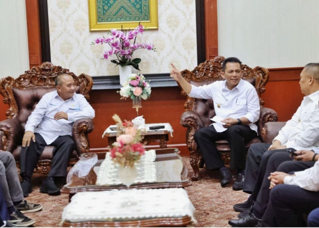 PLN Batam-Pemprov Kebut Bikin Seluruh Desa Dan Pulau Di Kepri Berlistrik