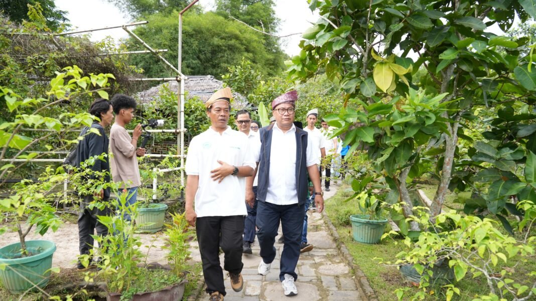 acu Pertumbuhan Ekonomi Masyarakat, BP Batam Dorong Pengembangan Agrowisata dan Wisata Bahari