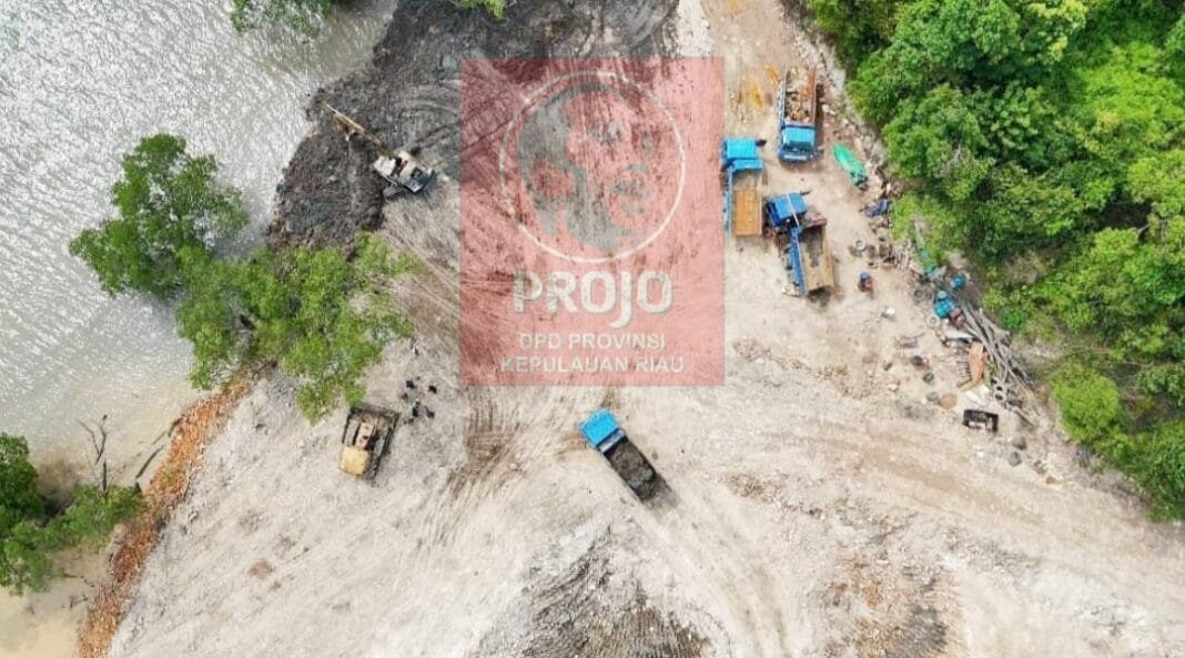 Soroti Kerusakan Mangrove, Projo Kepri Siapkan Laporan Resmi ke KKP, KLHK dan Mabes Polri
