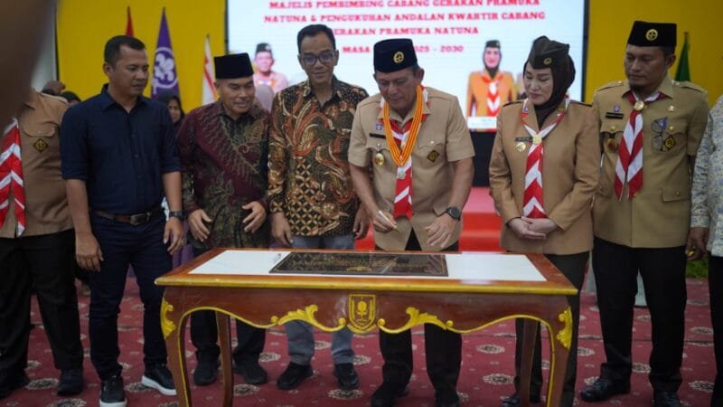 Seluruh Ibukota Kecamatan di Kepri Kini Nikmati Listrik 24 Jam, Gubernur Ansar Resmikan di Pulau Panjang